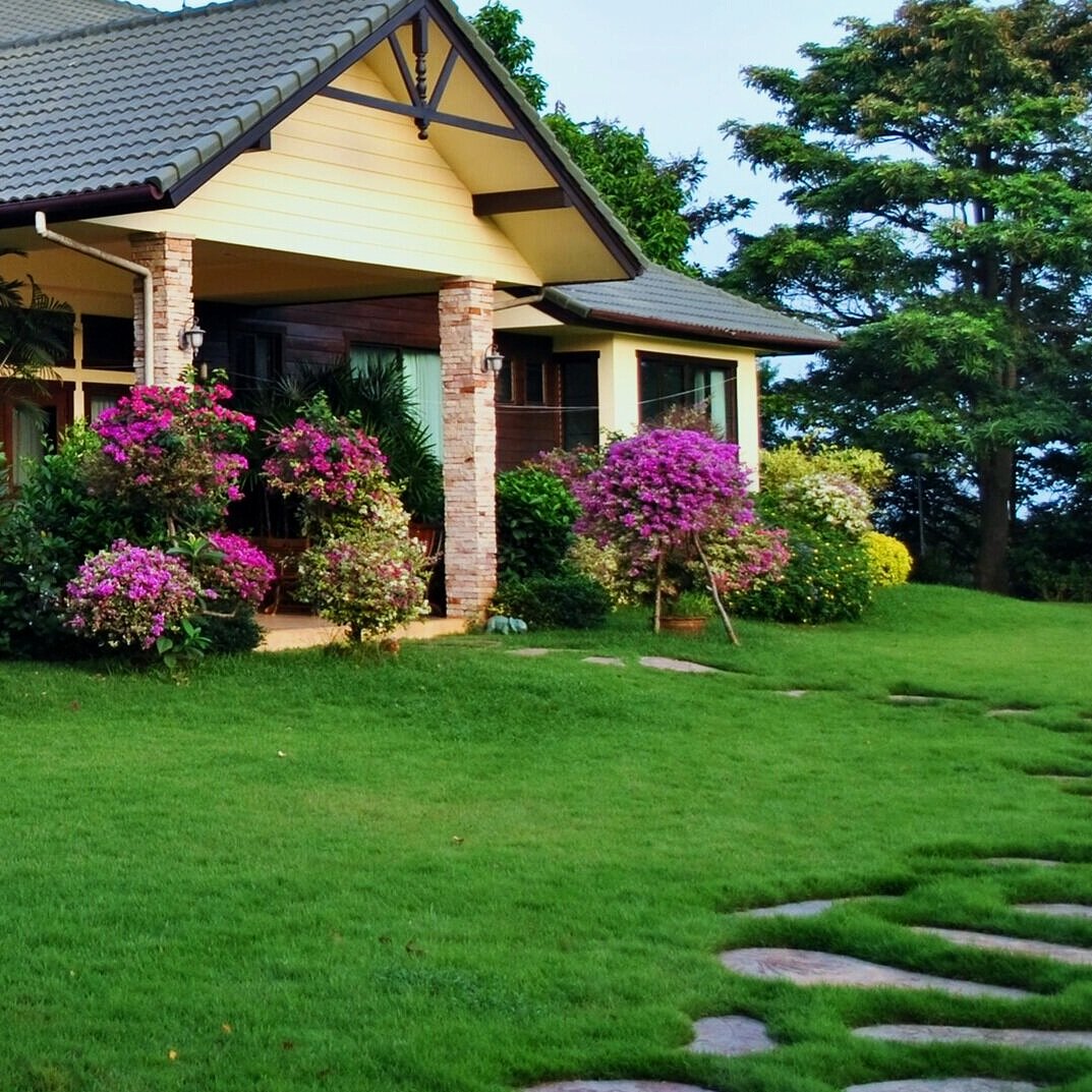 Elite Landscape Lawn Blend