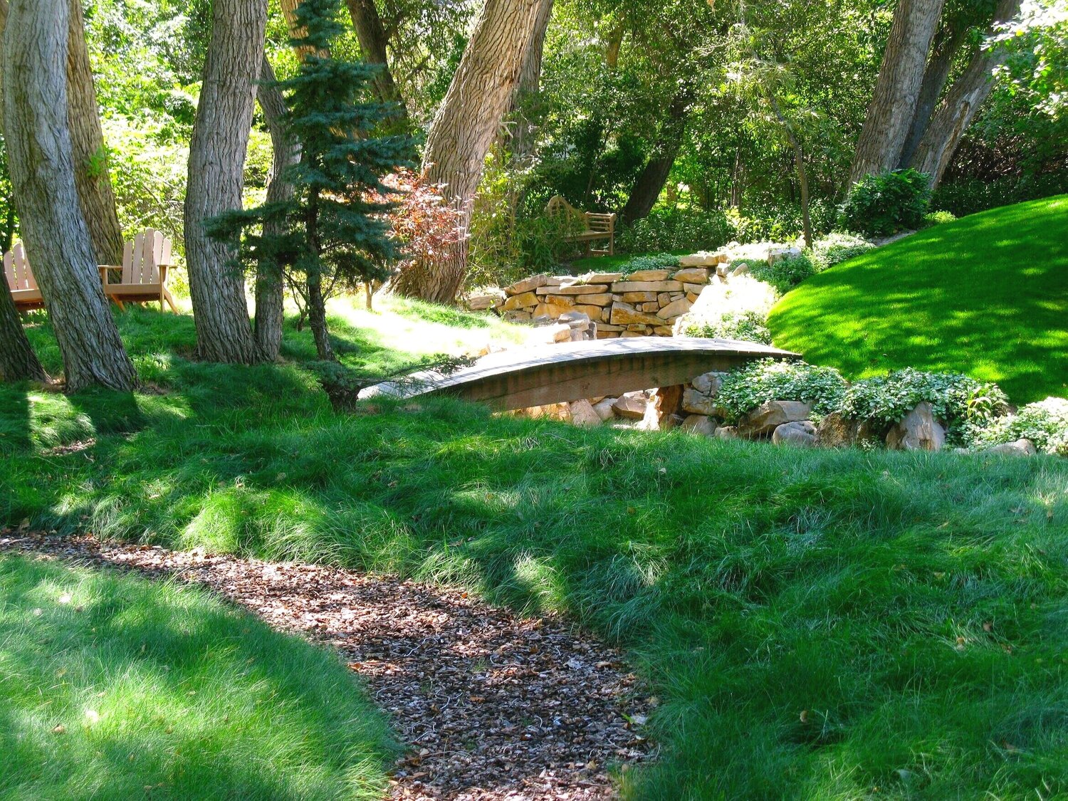 Meadow Lawn Blend