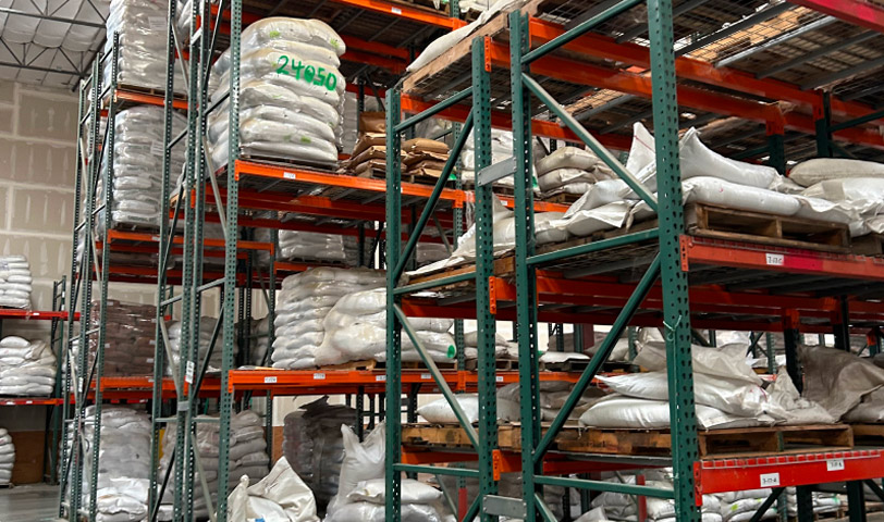 Seed Dealers