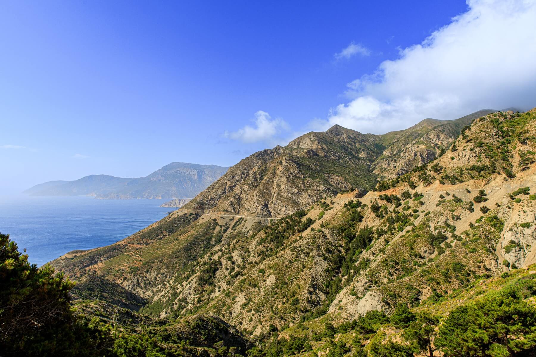 Santa Monica Mountain Cover Mix